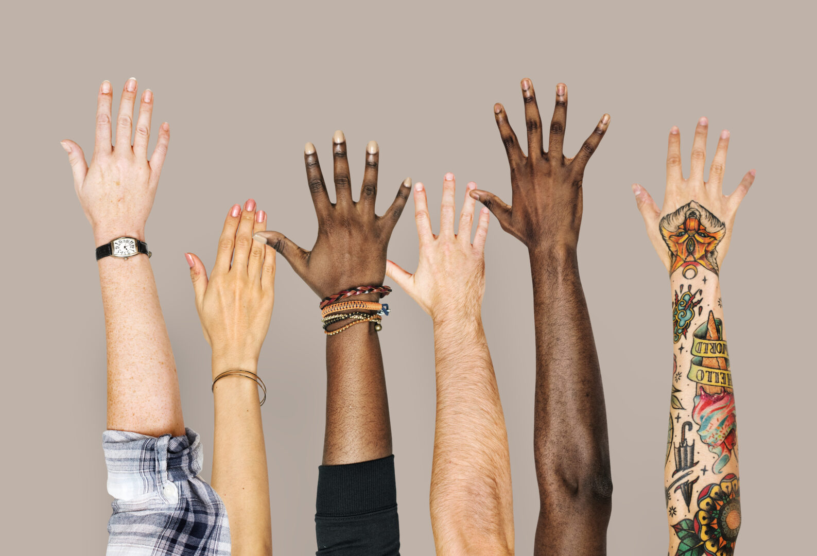 skin colour, melanin, and the evolutionary history of human skin and its pigmentation