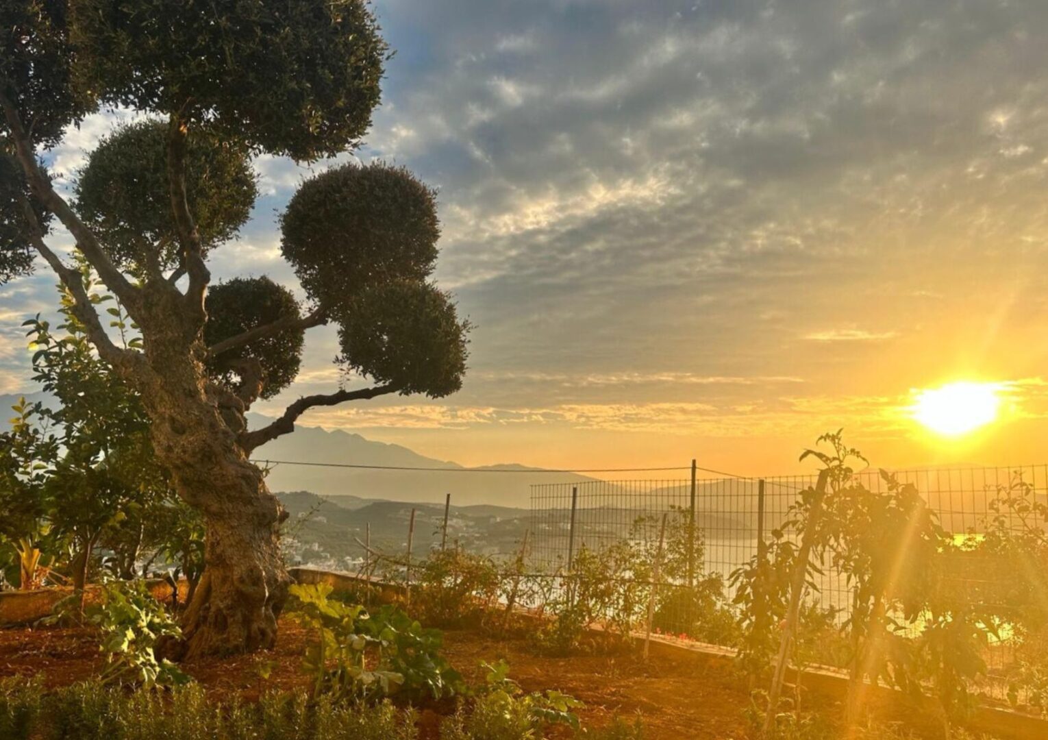 Autumn Light & Circadian Rhythm: Sleep, Melatonin & Change