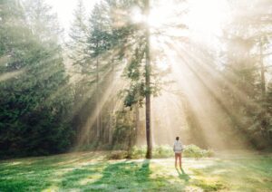 rethinking sunlight